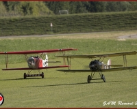 TSR Watermark - 0350